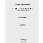 Symphony 1, Op. 21 (First Mvt.)