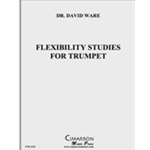 Flexibility Studies for Trumpet