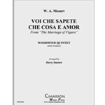 Voi che sapete che cosa e amor