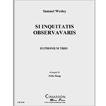 Si Iniquitatis Observavaris