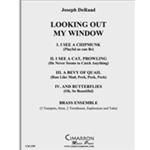 Looking Out My Window