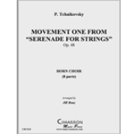 Movement one from "Serenade for Strings"
