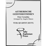 Aetherische Geisterstimmen