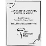 Cantatibus organis, Caecilia virgo