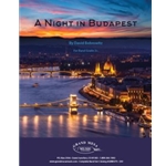 A Night in Budapest