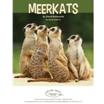 Meerkats