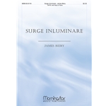 Surge Inluminare