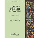 Lo, How a Rose E'er Blooming