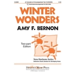 Winter Wonders