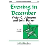 Evening In December