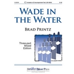 Wade In The Water