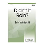 Didn't it Rain