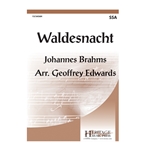 Waldesnacht