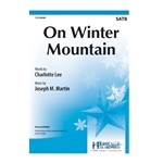 On Winter Mountain