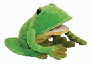 Freddie The Frog  Plush Toy