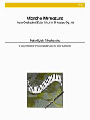Marche Miniature