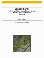 Songbirdsongs
