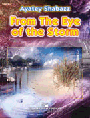 From The Eye Of The Storm