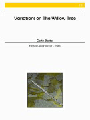 Variations On The Willow Tree