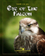 Eye Of The Falcon