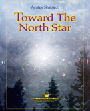 Toward The North Star