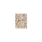 Angels In The Architecture