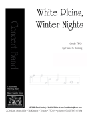 White Plains Winter Nights