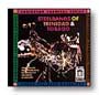Steelbands Of Trinidad & Tobago