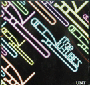U-tubes