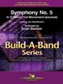 Symphony No. 5 in C Minor 1st Movement (Excerpt)
