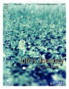 Life's Journey (Rain Shadow)