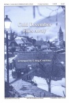 Cold December Flies Away