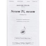 Nesem Ti nesem - We bring to You