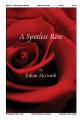 Spotless Rose