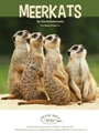 Meerkats