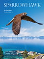 Sparrowhawk