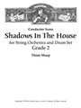 Shadows In The House