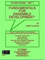 Fundamentals for Ensemble Development