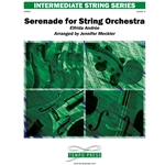 Serenade for String Orchestra: Movement III