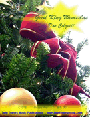 Good King Wenceslas