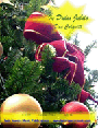In Dulci Jubilo
