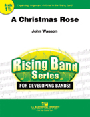 Christmas Rose