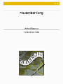 November Song
