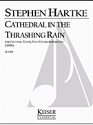 Cathedral in the Thrashing Rain by Hartke Stephen for