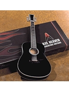 Acoustic Classic Black Finish Model by for