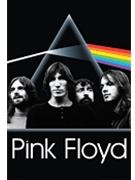 Pink Floyd - Dark Side Group - Wall Poster by Pink Floyd for