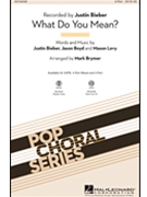 What Do You Mean by Bieber Boyd Levy - Brymer Mark - Justin Bieber for 2-Part
