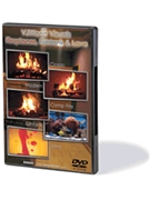 Fireplaces Fishtank & Lava by Various for