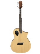 Forte Port Natural Acoustic Guitar by for