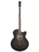 Dragonfly 4 Smoke Burst Acoustic Bass by for